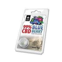 terpsolator-99-blueberry-1000mg_671300877