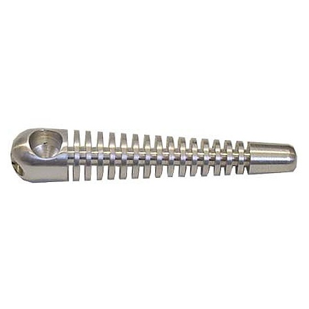 skeleton